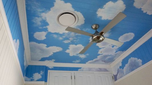 Ceiling Mural - Clouds - Kat's Mural Art
