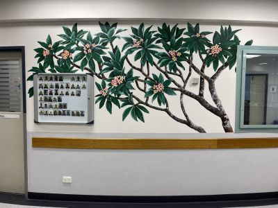 Frangipani tree - Kat's Mural Art - Royal Brisbane and Women's Hospital