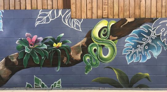 Green python - Mural - Kat's Mural Art