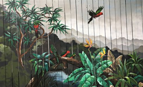 King parrots - Australian Nature Mural - Compass Kids Clinic - Kat's Mural Art