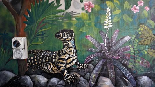 Lace Monitor Lizard - Compass Kids Clinic - Kat's Mural Art