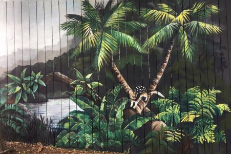 Quoll - Australian nature mural - Compass Kids Clinic - Kat's Mural Art