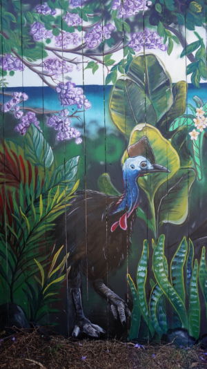 Cassowary - Tropical Mural Compass Kids Clinic 2